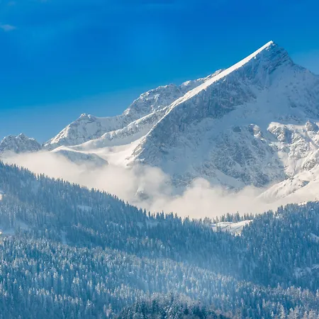 메르쿠레 가르미슈 파르텡키르헨