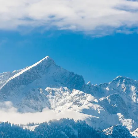 메르쿠레 가르미슈 파르텡키르헨 호텔